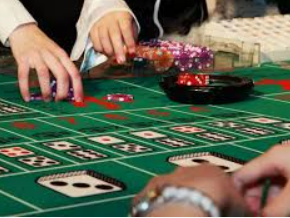 Bsports网页版2024最新版